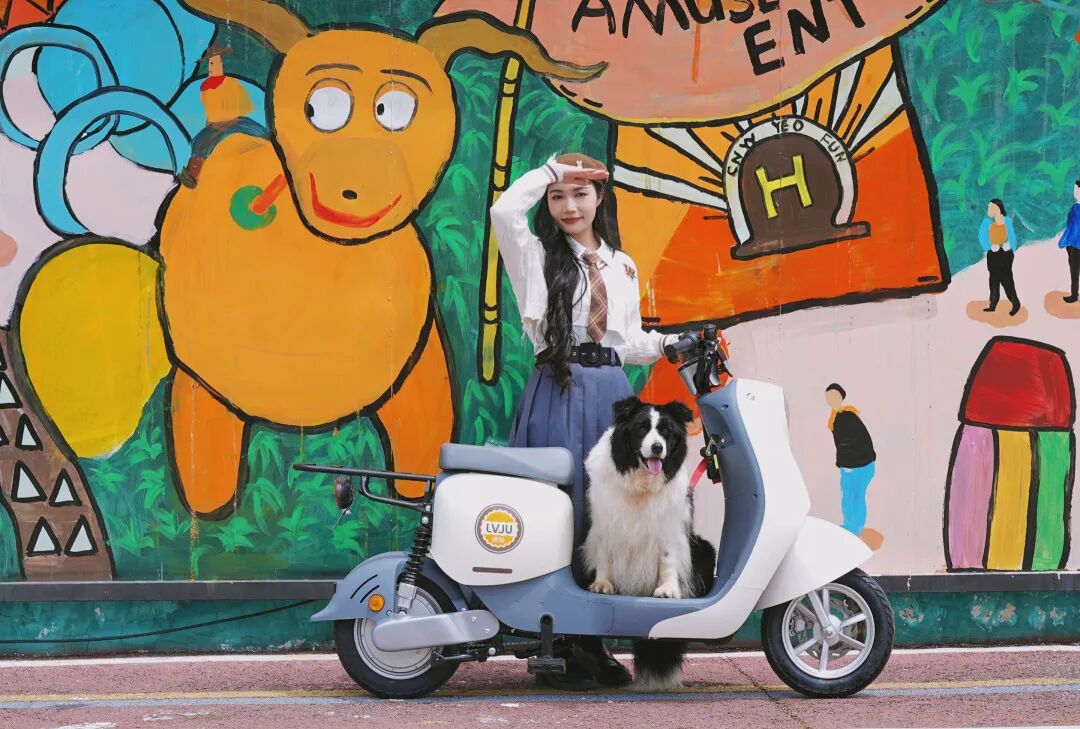 爱宠系列3微笑生活