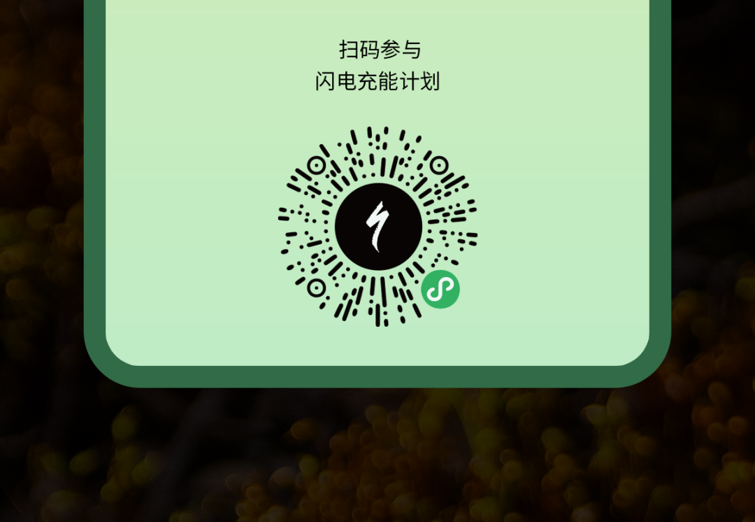 [2025-04-10]春天到玩些新花样闪电充能计划第三季