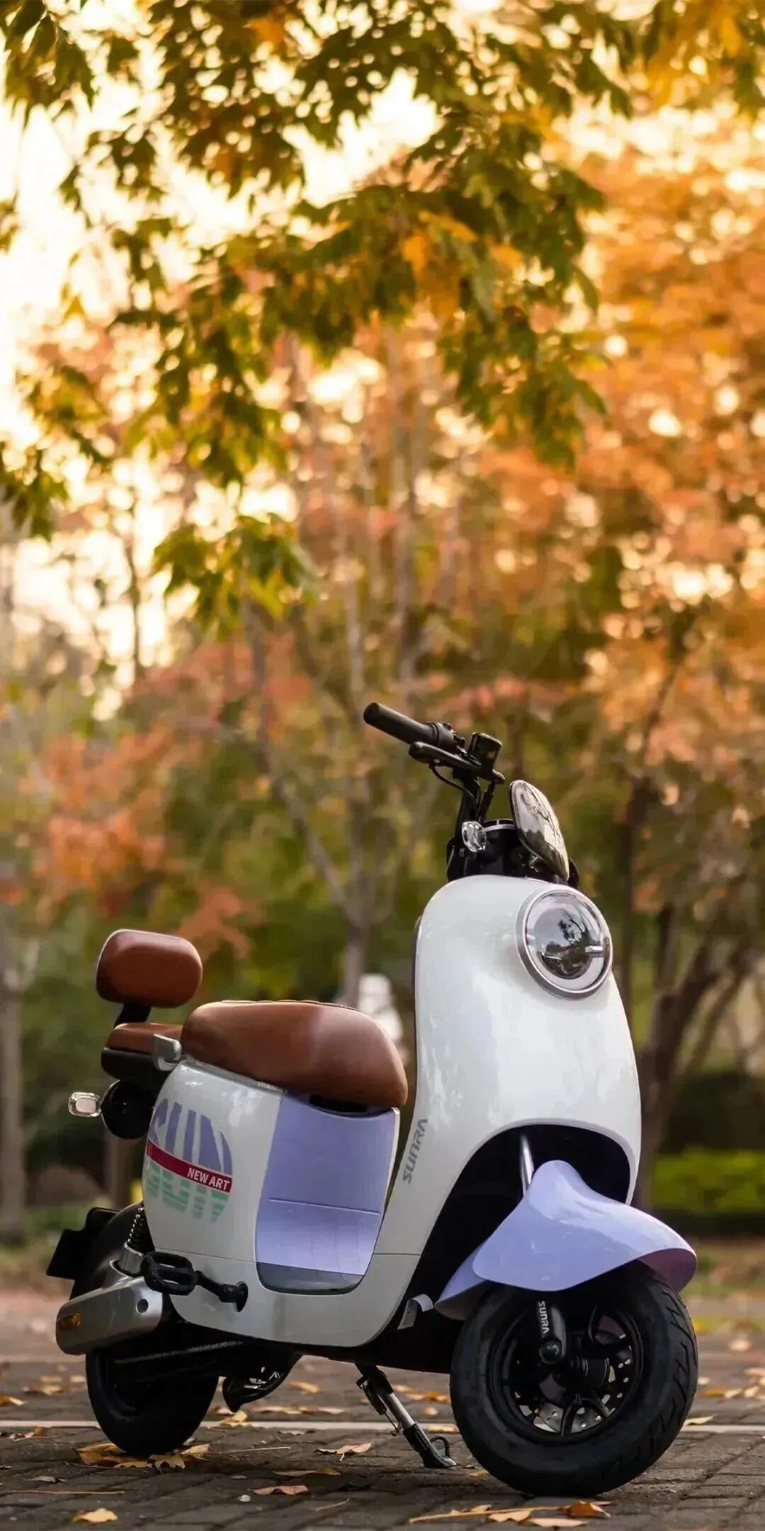 私家大片留下最美印记