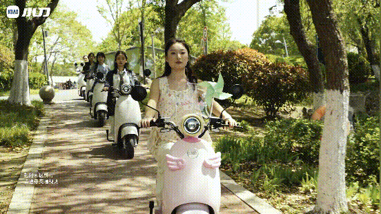 为何非妮不可小刀有话要说